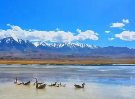 甘肃盐池湾国家级自然保护区